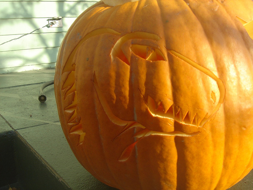 moz-o-lantern @ daytime